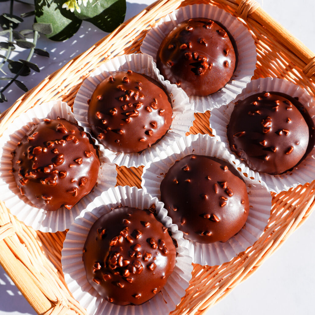 Chocolate Covered Mochi