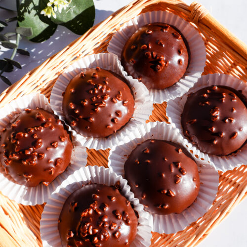 Chocolate Covered Mochi