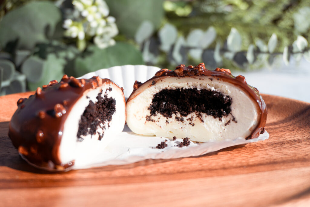 Chocolate Covered Mochi