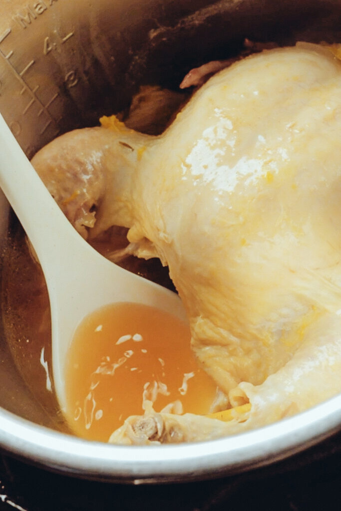 No Water Chicken Essence Soup