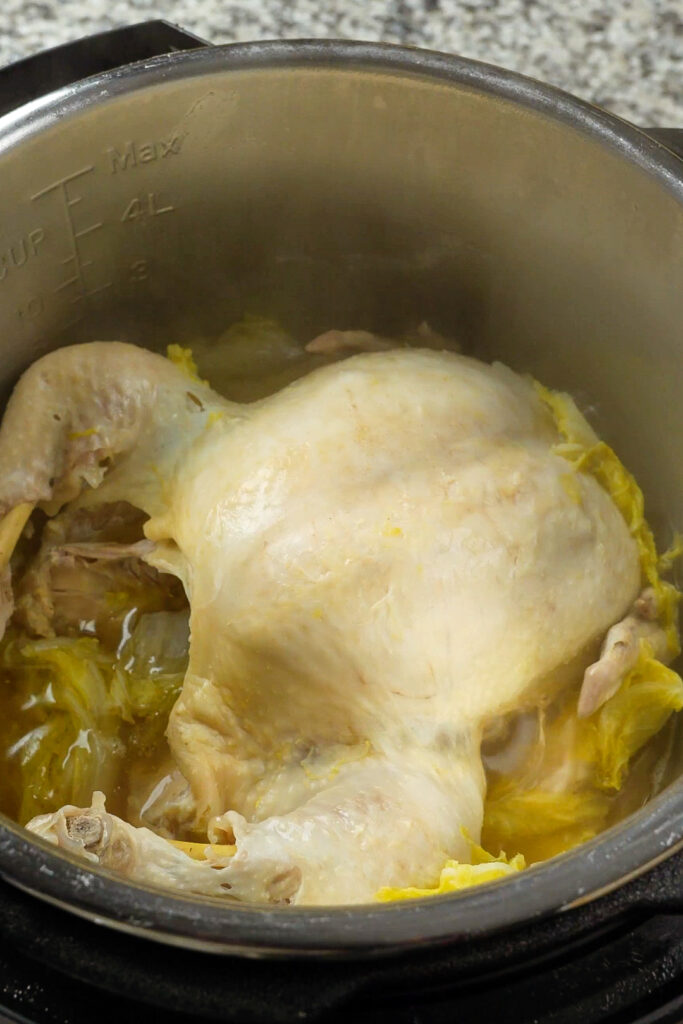 No Water Chicken Essence Soup