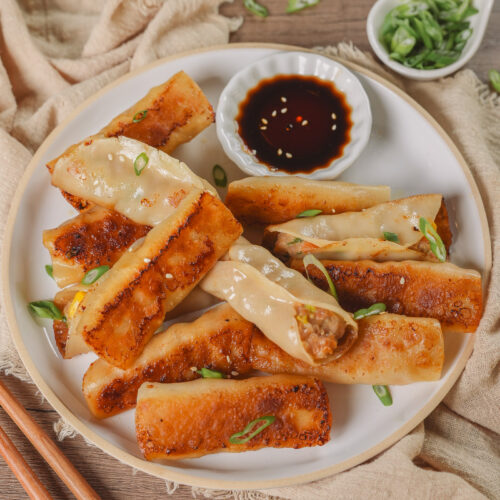 Easy Homemade Pot Stickers
