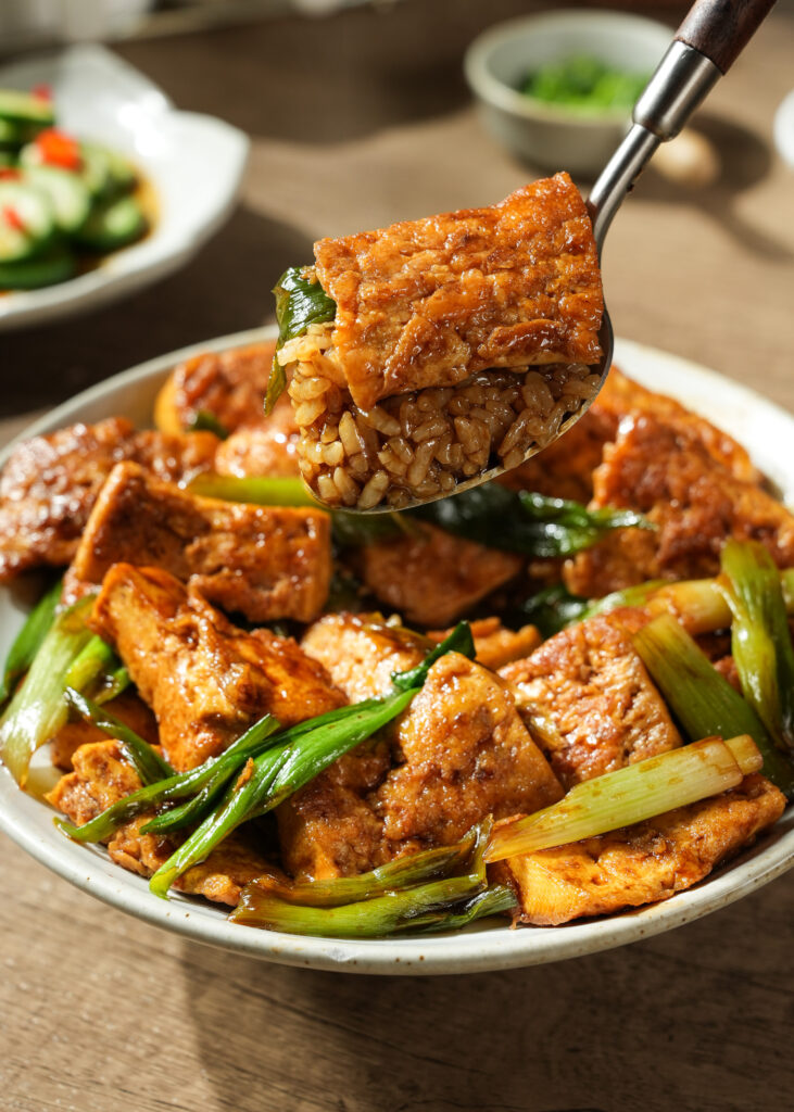 Chinese Braised Tofu with Green Onion (Scallion Tofu)