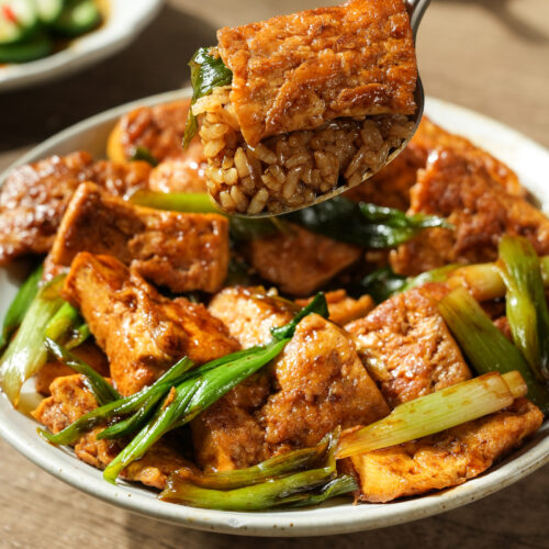 Chinese Braised Tofu with Green Onion (Scallion Tofu)
