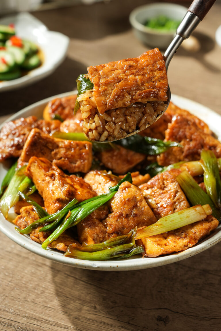 Chinese Braised Tofu with Green Onion (Scallion Tofu)