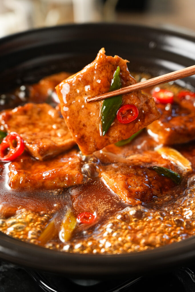 Chinese Braised Tofu with Green Onion (Scallion Tofu)